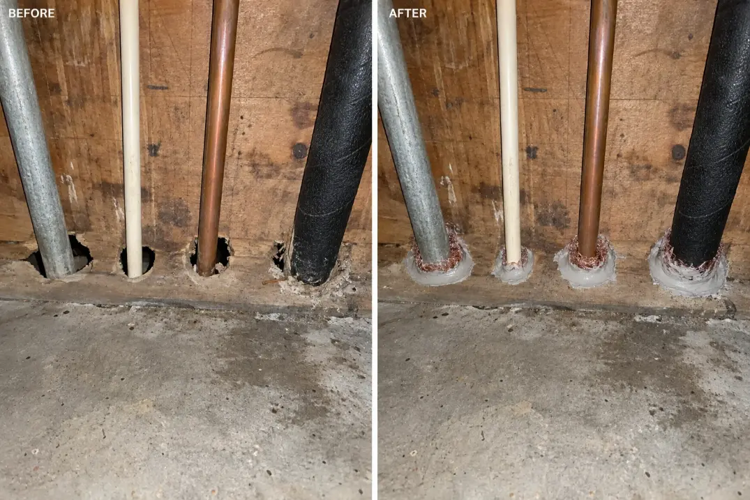 Garage wall sealing before and after rodent proofing