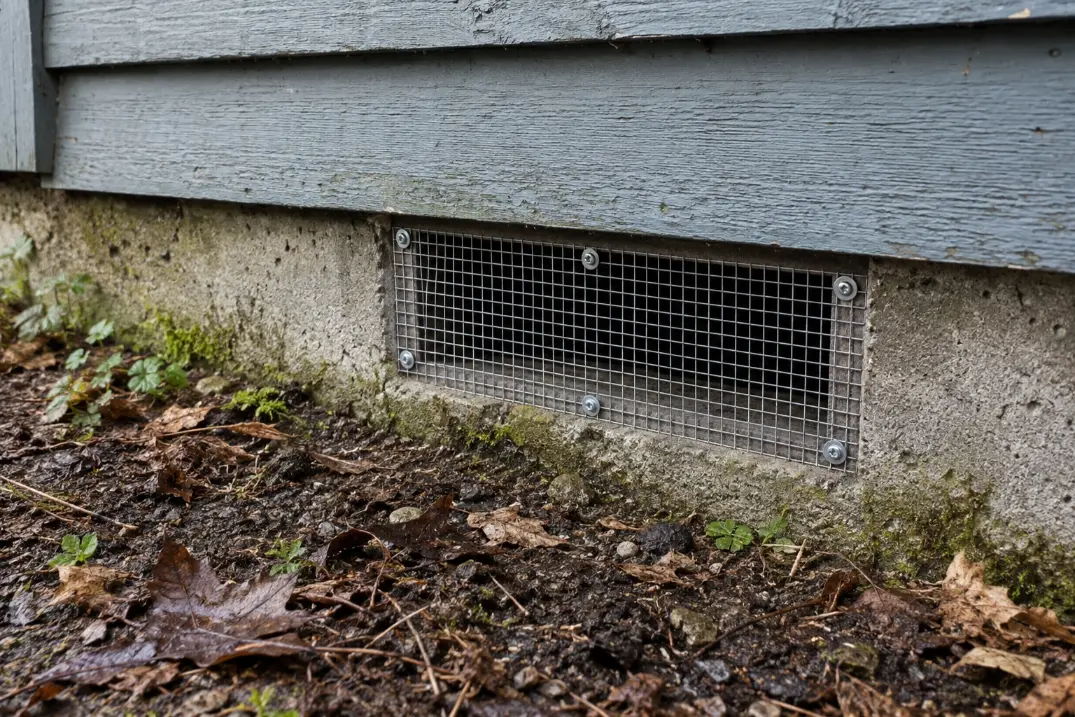 Rodent Control Bellingham WA - screened foundation vent exclusion work